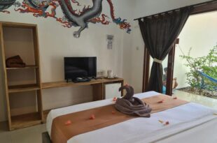dream hotel