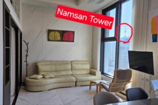Euljiro Namsan Tower View