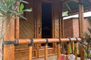 Farmer homestay