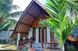 Follow The Rabbit Bungalow