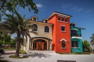 Forest B&B