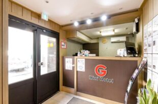 G Mini Hotel Dongdaemun