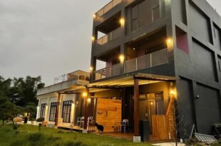Grain Educator Home