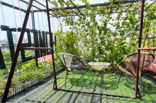 Green Homestay, Ba Đình