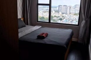 Hana Apartment Millenium
