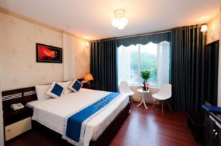 Hanoi Dai Duong Hotel 1