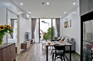 Hanoi Home 10 – Comfortable Apartment for Expart