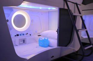 Hey Bear Capsule Hotel