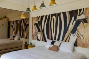 Hi Zebra Travel B&B