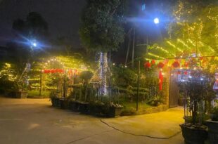 Homestay Sunny