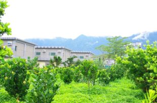 Hotel Jajowan