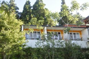 Iris Farmhouse