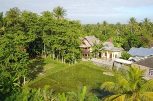 Kembang Kuning Cottages