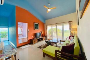 Kenting COMIC B&B&SPRING