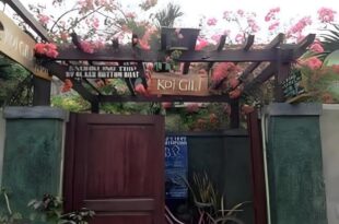 Koi Gili Guest House