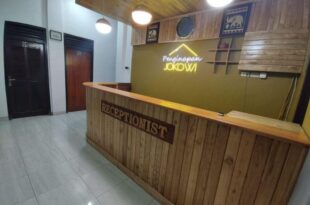 Krui PENGINAPAN JOKOWI