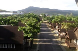 LOHAS-HILL Guest House