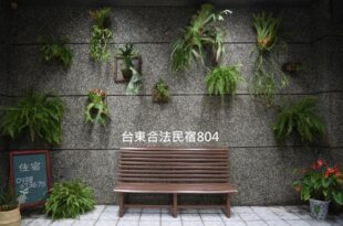 Lost and Find Homestay