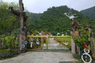 Lutenist B&B