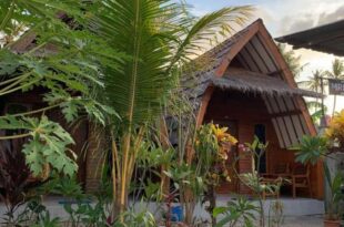 Mirna Homestay