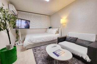 Moon House In Seoul #Quiet #Airport transport nearby#1 min to line2 nakseongdae subway