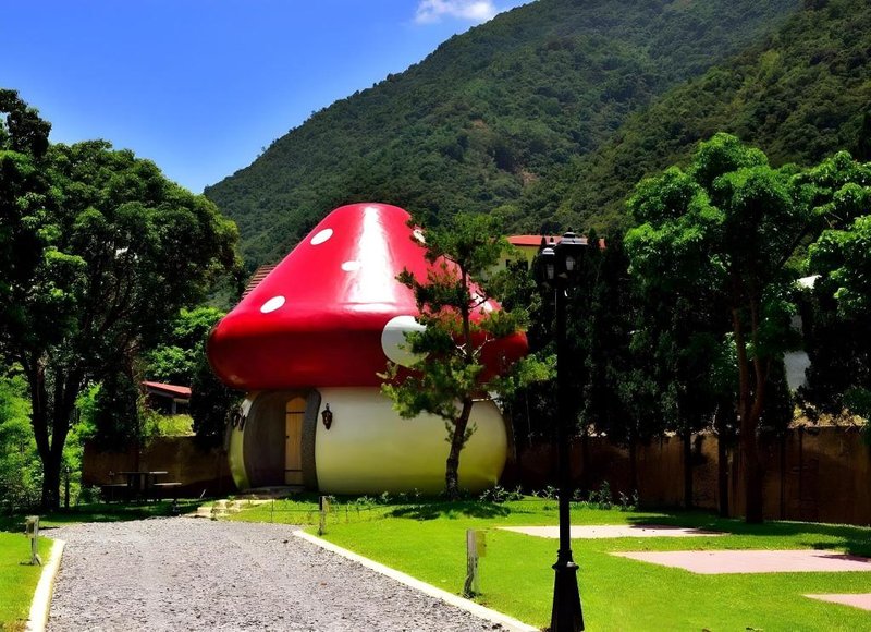 Mushroom Forest Guesthouse Camping Site