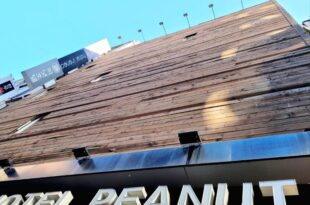 Myeongdong Peanut Hotel
