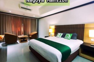 Nagoya Mansion Apartment by Homestay81