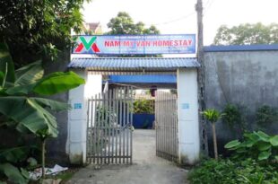 nam my van homestay