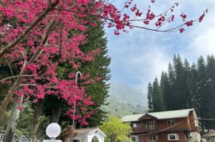 南苑莊園 NanYuan Resort Manor
