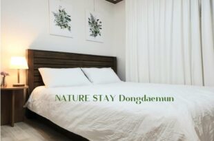 Nature Stay seoul Dongdaemun