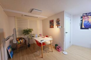 near Jamsil Coex Lotteworld – full option lovely house
