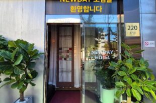 New Day Hotel Gangnam
