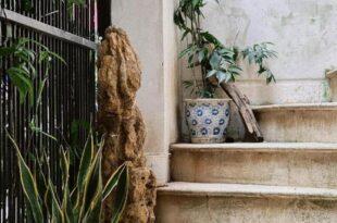 NGAO Home – Lang Ha