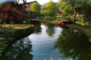 Old House Homestay