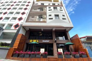 OWL Hostel