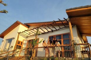 Palme villa – Venuestay