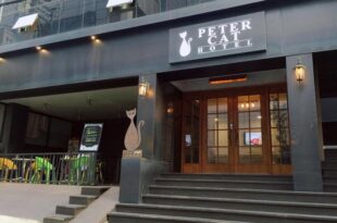 Petercat Hotel Sinchon