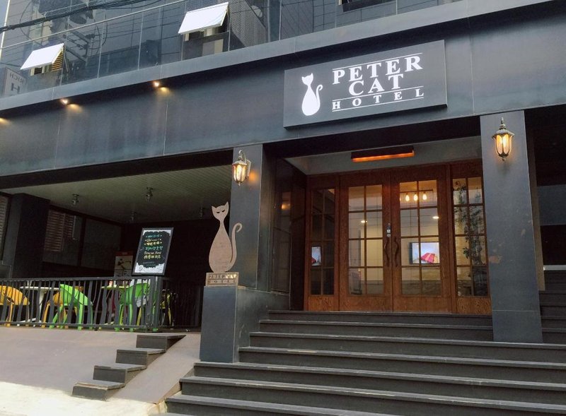 Petercat Hotel Sinchon