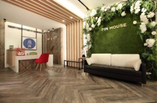 Pin House 2