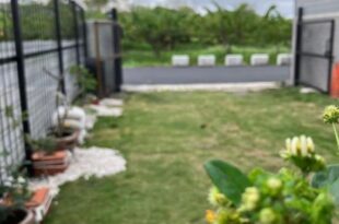 Return to the Garden with Thoughts