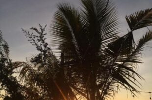 Saeri Matahari Bungalow