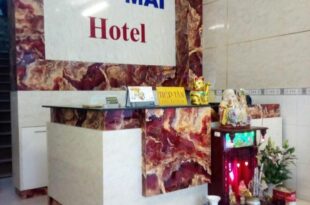 Sao Mai 896 Hotel