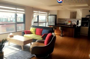 Seoul Crown 88 Guest House – Foreigners only