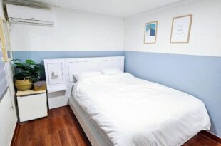 Seoul Nest