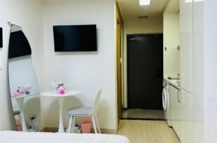 Seoul Sillim Property