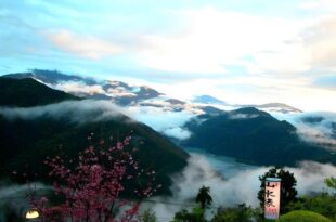 Shan Shui-Yuan Vege Guest House