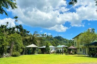 Shuizhong Yue Homestay