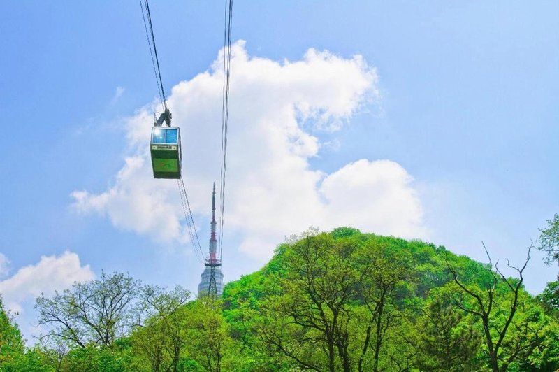 Sillim Vine Tree Hotel