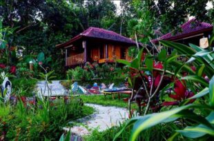 Sky garden Lombok